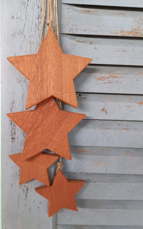 Penca estrelas M natural - Image 4