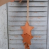 Penca estrelas M natural - Image 2