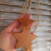 Penca estrelas M natural - Image 3