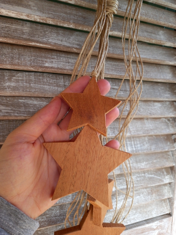 Penca estrelas M natural - Image 3